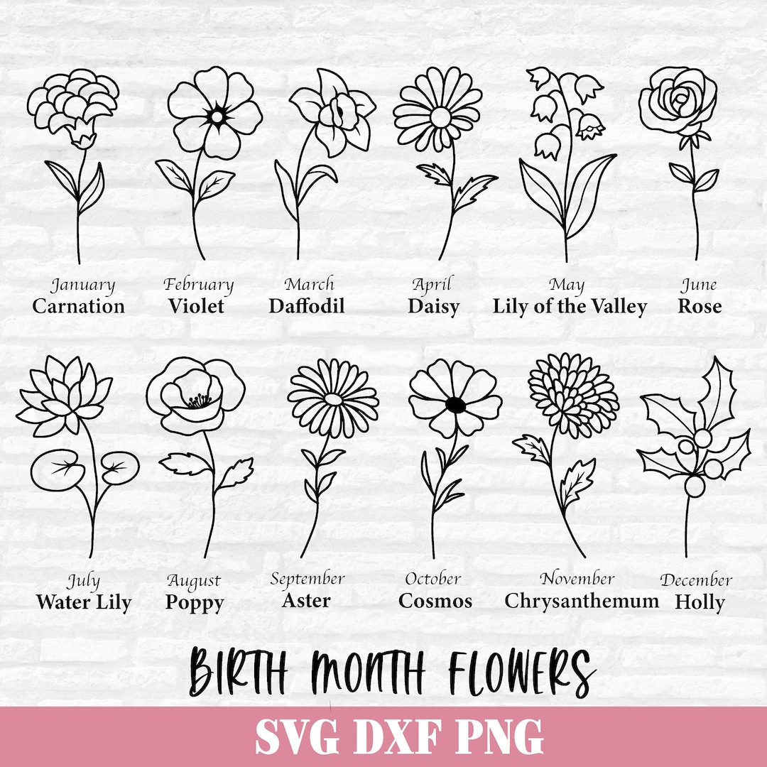 Birth Month Flowers Svg, Birthday Flower Svg, Flower Svg Bundle ...