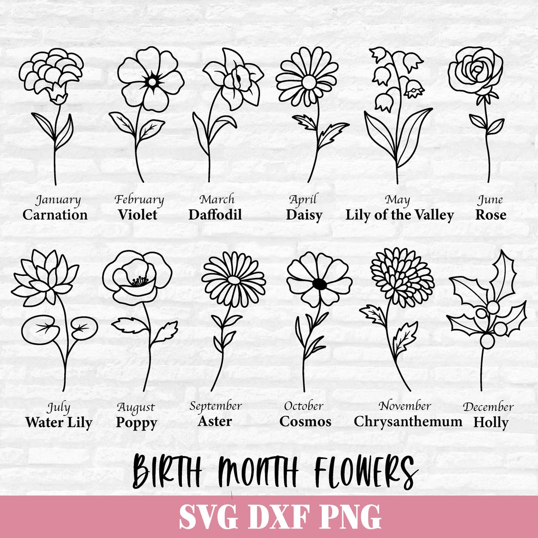 Birth Month Flower Svg