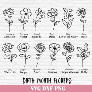 Geburtsmonat Blumen geschnitten, Blumenmuster, Wildblumen PNG, Geburtstagsblumen schneiden Dateien digitaler Download