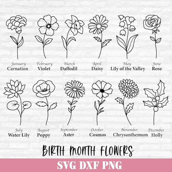 Fleurs du mois de naissance SVG, Fleur d’anniversaire SVG, Fleur SVG Bundle, Botanique SVG, Floral SVG, Fleurs du mois de naissance, Fleurs sauvages, Anniversaire SVG