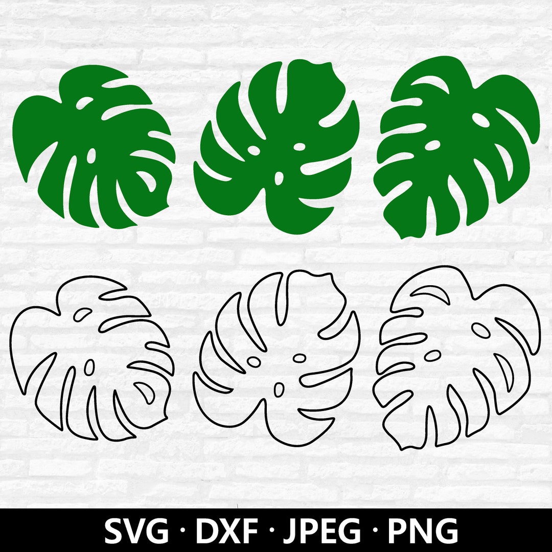 Monstera Leaf SVG: Tropical Greenery Cut File (digital Download) - Etsy
