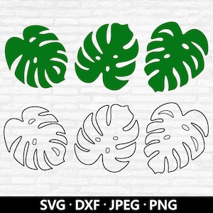 Monstera SVG, arquivo de corte de folha tropical, folha de Monstera SVG, clipart verde de vegetação, arquivos de corte de decoração de festa Monstera Tropical download digital