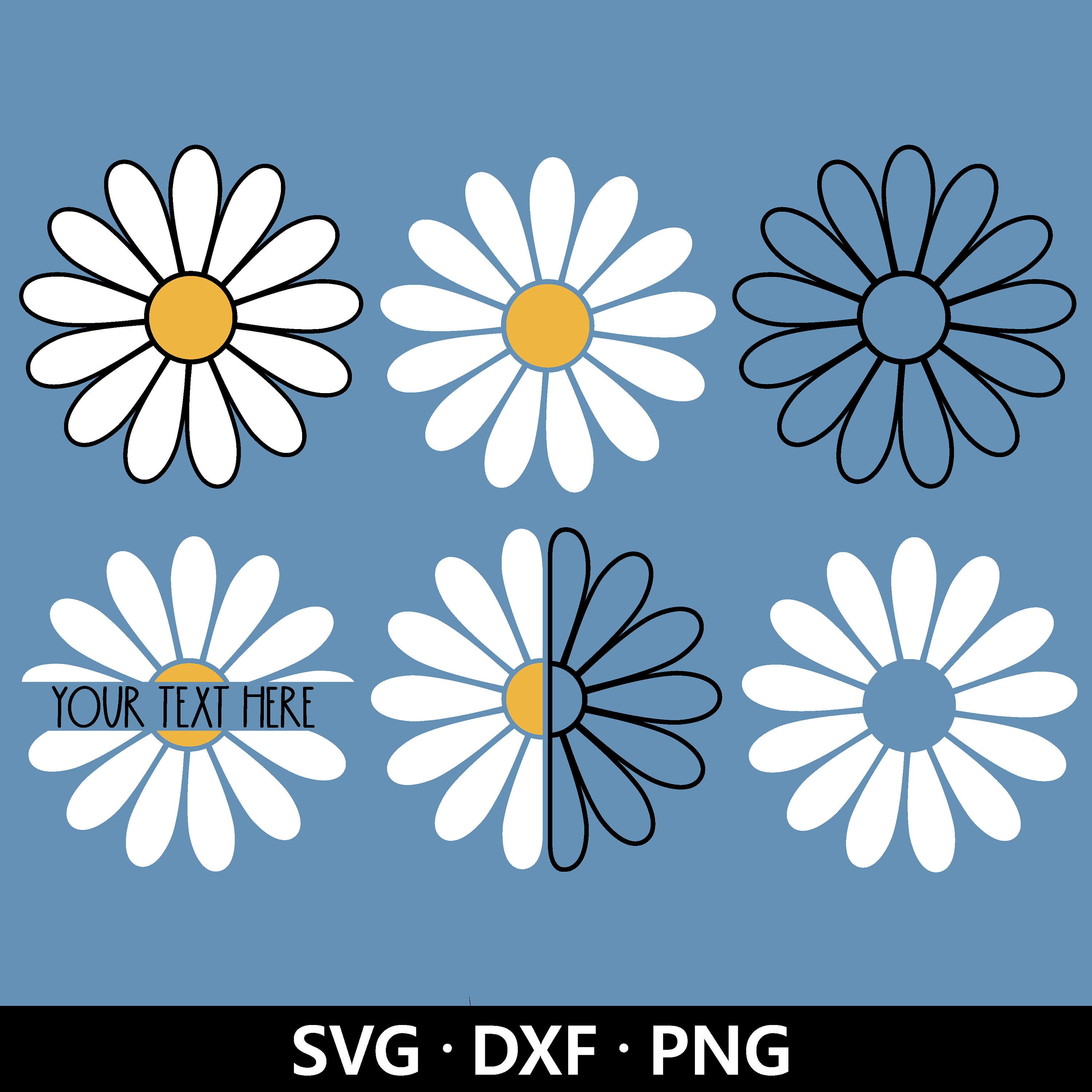 Daisy split monogram svg, Flowers frame svg, Floral border - So Fontsy