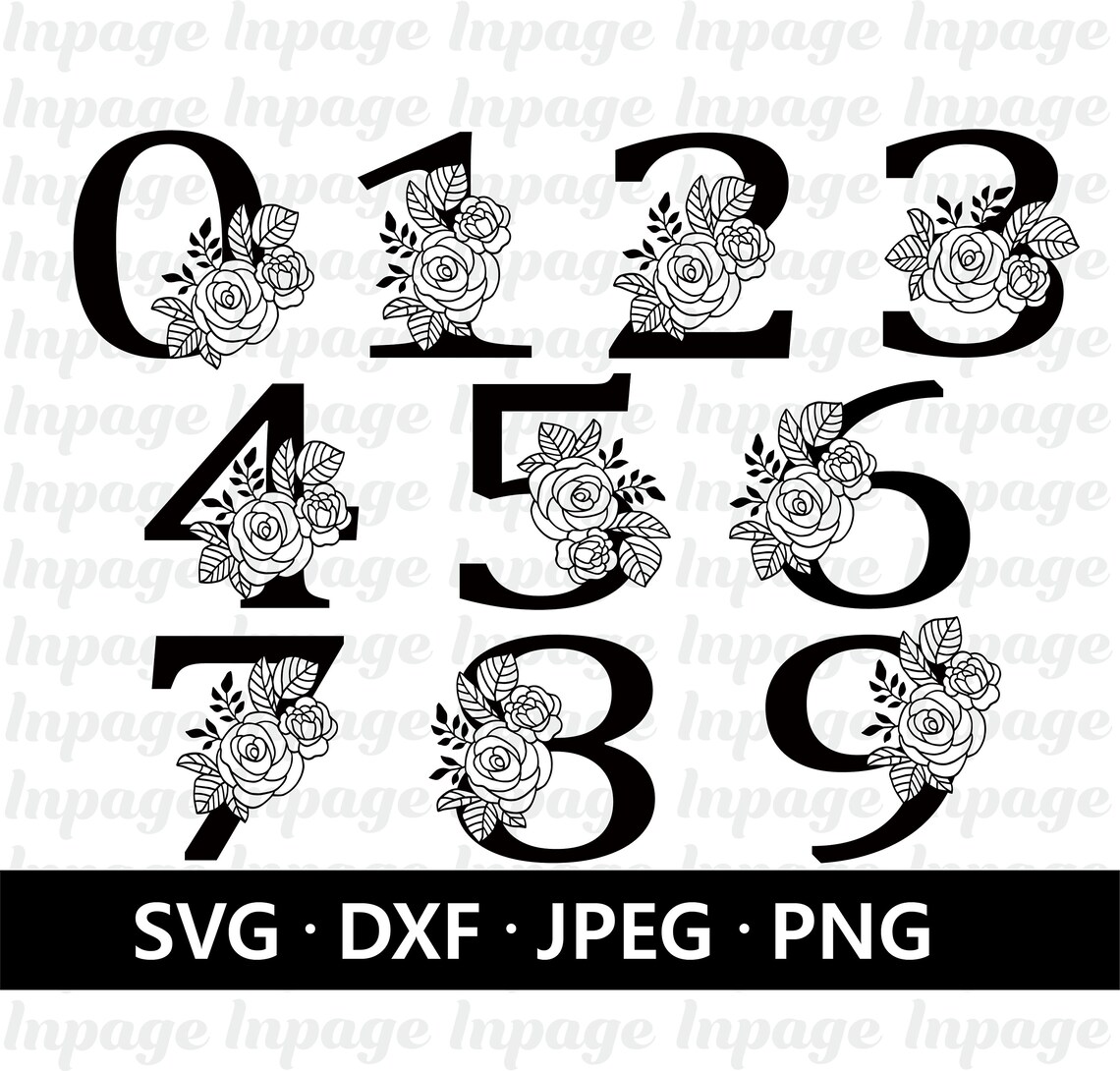 Rose Floral Numbers Svg Floral Number Svg Files for Etsy