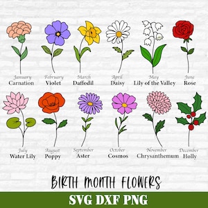 Flores del mes de nacimiento Svg, paquete de flores en capas Svg, clipart floral botánico, PNG de flores silvestres, archivos de corte de flores de cumpleaños Descarga digital