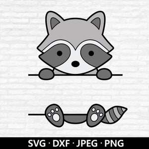 Waschbär-Monogramm-Svg, niedlicher Waschbär Clipart, Waldtiere zwart, Waschbär-Namensrahmen svg, besonders anfertigen mit Namensschild schnitt Dateien Digitaler Download