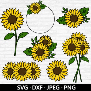 Pacchetto SVG girasole, vettore fiori, clipart bouquet di girasole, PNG floreale, ghirlanda di girasole Dxf, file di taglio bordo fiore Download digitale