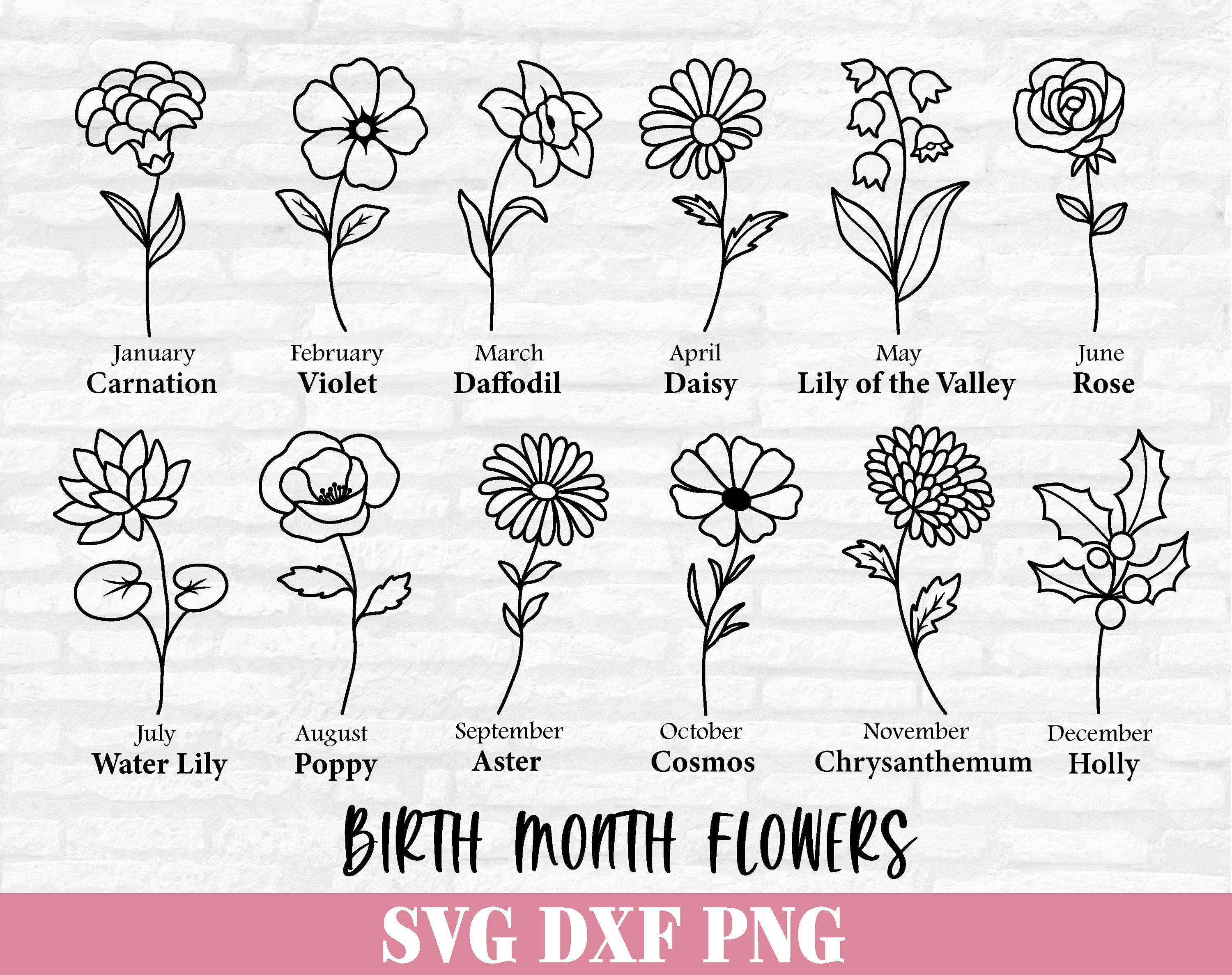 Birth Month Flowers Svg Birthday Flower Svg Flower Svg - Etsy Canada