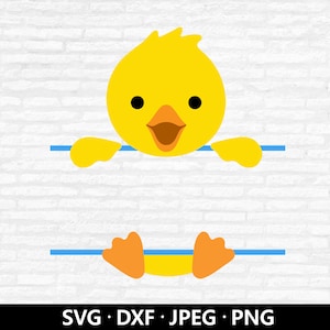 Canard monogramme SVG, SVG de bébé canard, monogramme divisé Svg, canard SVG, canard mignon coupe fichiers, nom d'animal pour chambre de bébé douche cadre en téléchargement numérique