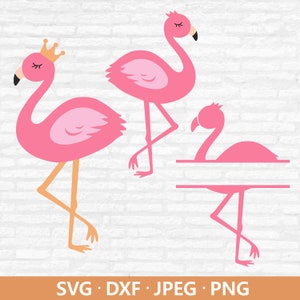 Pacchetto Svg Flamingo, Clipart Flamingo, monogramma diviso animale carino PNG, file vettoriali fenicottero rosa, file di taglio fenicottero Download digitale