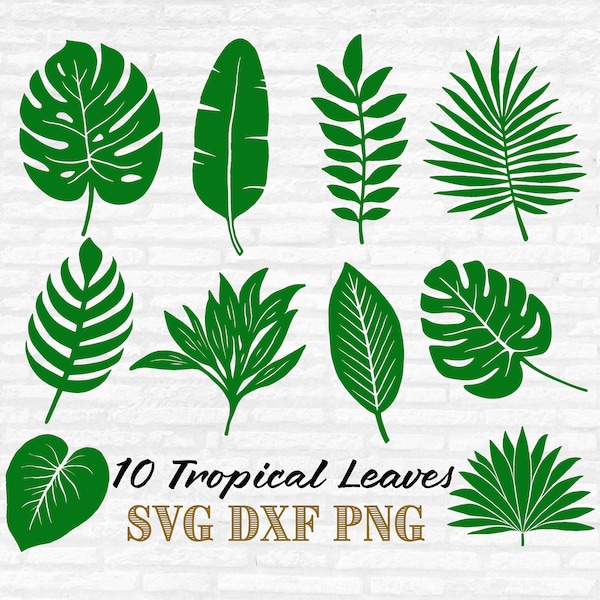 Tropical Leaves Svg Bundle, Tropical Leaf Svg, Palm Leaves Svg, Jungle Leaves Svg, Monstera Svg, Tropical Svg, Tropical party decor