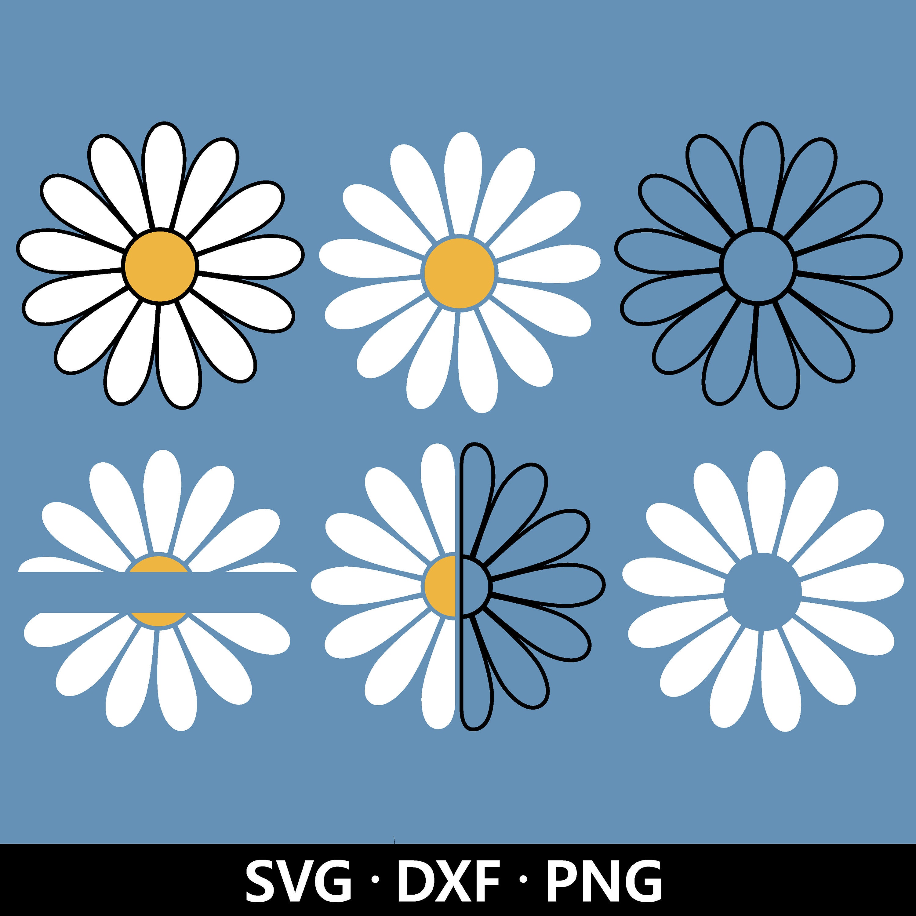 Daisy SVG Bundle: Split Monogram, Floral Clipart, Flower