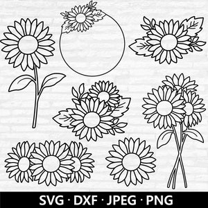 Girasole contorno SVG, pacchetto SVG girasole, vettore bouquet di girasole, clipart girasole, file di taglio bordo girasole download digitale