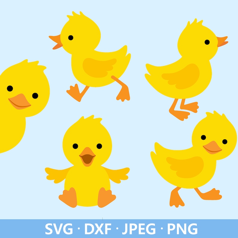 May include: A collection of five cartoon yellow ducklings with orange beaks and feet, set against a light blue background. The ducklings are in various poses, including walking, sitting, and looking towards the viewer. The image includes the text "SVG &bull; DXF &bull; JPEG &bull; PNG".