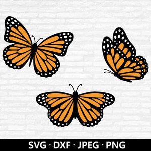 Borboleta monarca SVG, pacote de borboleta DXF, arquivos em camadas, borboletas PNG, clipart de borboleta voadora, download digital de arquivos cortados de borboleta