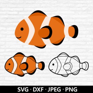 Peixe-palhaço SVG, Vetor de animais marinhos, Clipart de peixes fofos, Peixes tropicais PNG, Contorno de peixe-palhaço, Arquivos de corte de praia marinha do oceano Download digital
