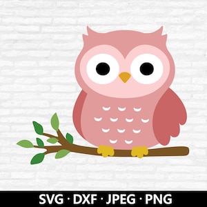 Uil op een tak SVG, babyuil clipart, uil DXF-bestanden, cartoon uil vector, babyshower meisje shirt png, schattige uil gesneden bestanden digitale download