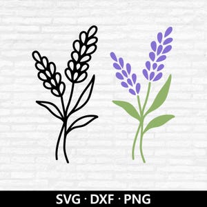 May include: Two lavender sprigs, one in black outline and the other in color. The colored sprig features purple flower heads and green leaves. The image includes the text "SVG • DXF • PNG" at the bottom.