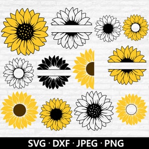 Zonnebloem SVG-bundel, zonnebloem vector, bloemen snijden bestand, split monogram SVG, halve zonnebloem clipart, bloem gesneden bestanden digitale download