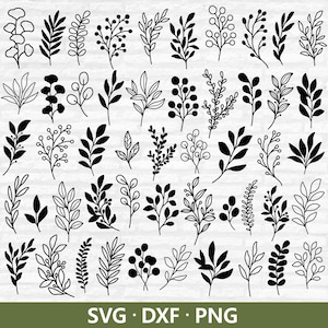 Feuilles SVG, lot de 50 feuilles Svg, feuilles dessinées à la main SVG, Svg de feuille, clipart botanique, verdure Svg, vecteur de feuille coupe des fichiers téléchargement numérique