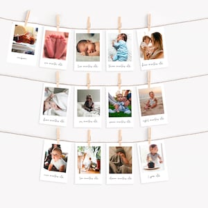 First Birthday Bunting | 1st Birthday Photo | 12 month Flags | Photography Birthday Banner | Party Decoration | Milestones