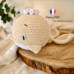 PATTERN Marius the Beluga PATTERN whale