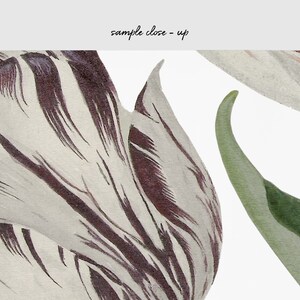 vintage tulip painting wallpaper close up flower petals