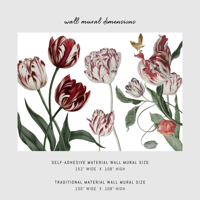 digital layout of a vintage tulip painting wall mural including the dimensions