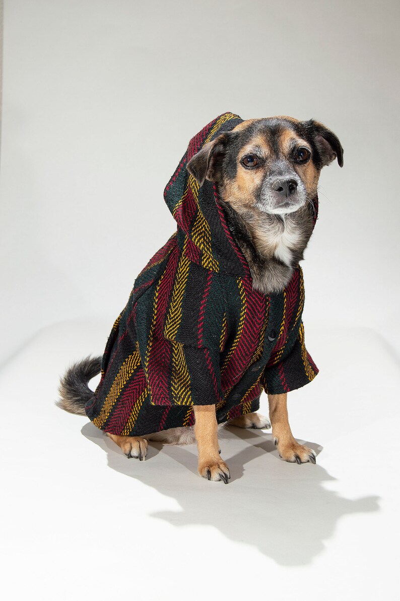 Dog Baja Hoodie by Pawja Hoodies Poncho Jacket Coat Clothes Etsy