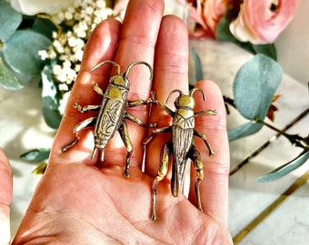 Fine lifelike Solid brass buzzing grasshopper figurine, Cricket Miniature, insect gift