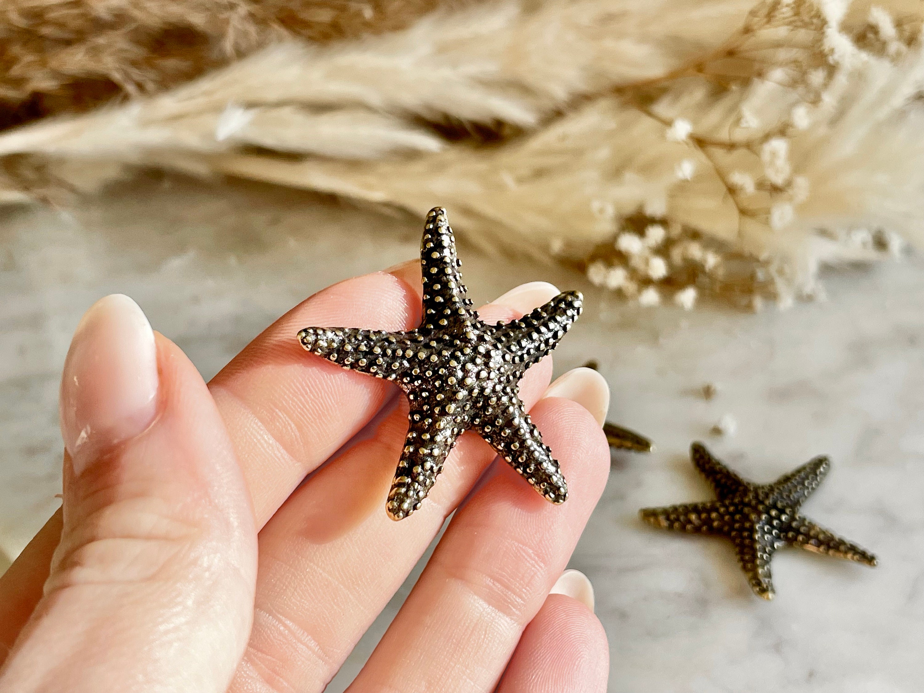 Starfish Decor -  Canada