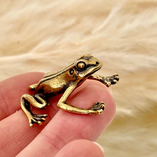 Fine Lifelike Solid Brass Grass tree frog Statue, Small Paperweight, Cute collectible figurine, Desk Accessory