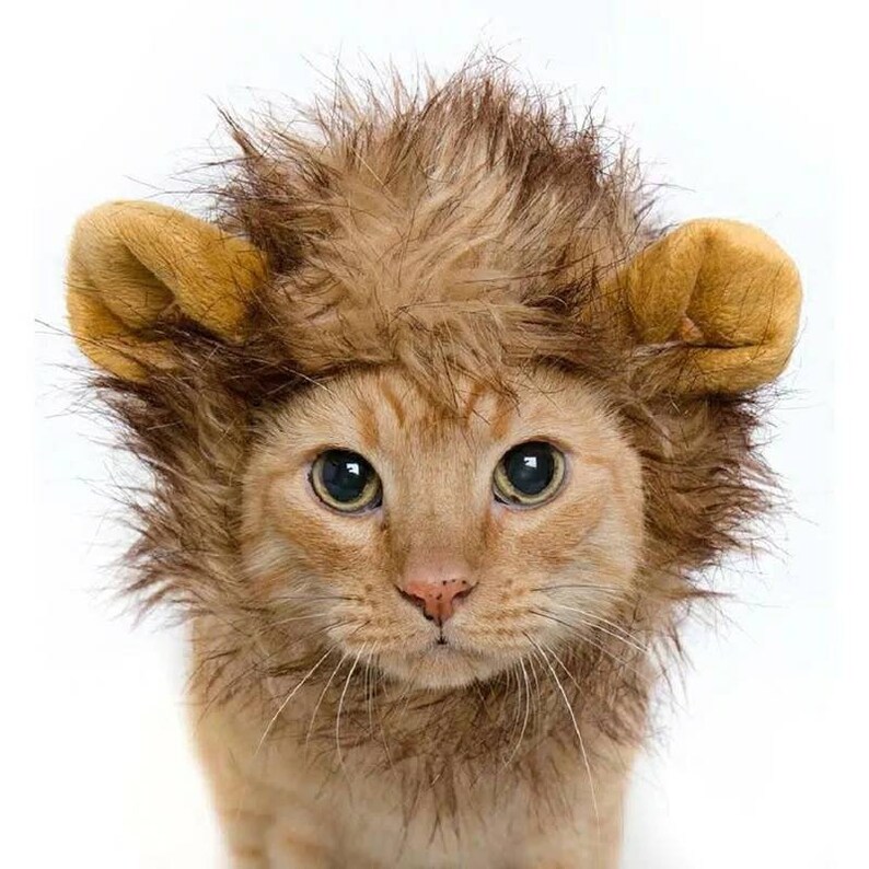 FAMDIO Lion Head Hat Lion Mane Wig Pet headgear cap Cosplay Dress Funny Cute hat