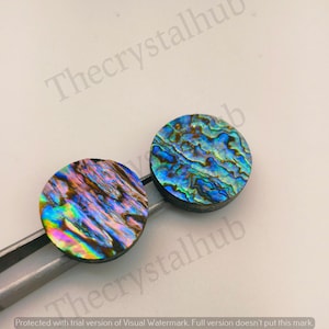 May include: Two round iridescent abalone shell cabochons with a blue, green, and purple colour pattern.