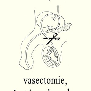 Carte postale "Vasectomie"