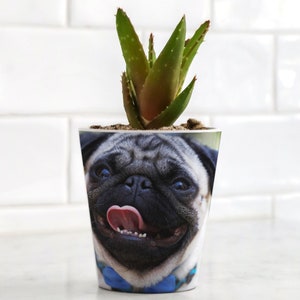 Personalised Pet Photo Plant Pot, Custom Pet Memory Pot, Novelty Pet Photo Gift, Pet Lover Plant Pot, Dog Photo Pot, Cat Photo Pot