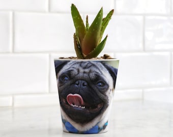 Personalised Pet Photo Plant Pot, Custom Pet Memory Pot, Novelty Pet Photo Gift, Pet Lover Plant Pot, Dog Photo Pot, Cat Photo Pot