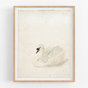 Swan Art Print / Vintage Swan Art / Wall Decor / Bird Art / Vintage Art / Swan Drawing / Nursery Art / Nursery Decor / Art