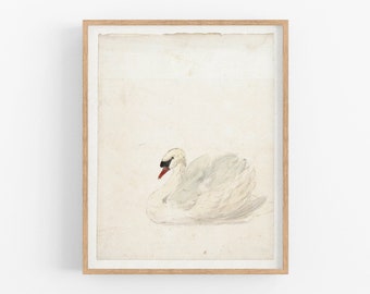 Swan Art Print / Vintage Swan Art / Wall Decor / Bird Art / Vintage Art / Swan Drawing / Nursery Art / Nursery Decor / Art