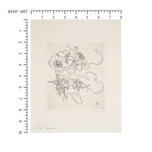 French Porcelain Flower Daisy Sketch / Botanical Art / Flower - Etsy