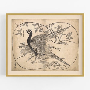 Japanese pheasant art print /  art /  bird art / asian art / japanese art  / chinoiserie art / bird art print / wall decor