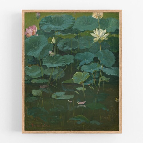Japanese Water Lily Flowers Botanical Art Print / Vintage | Etsy