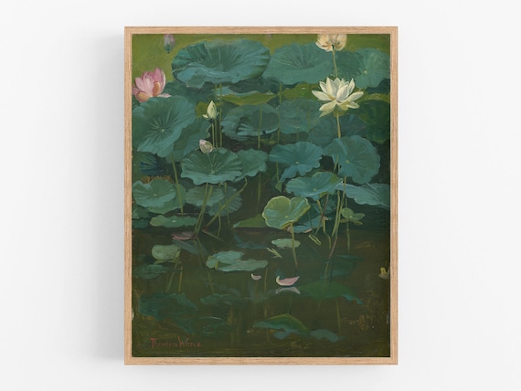 Lotus Flower Painting Art Print / Water Lily Painting / - Etsy