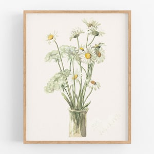 Daisies Watercolor Art Print