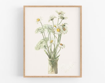 Daisies Watercolor Art Print / Botanical Art / Daisy Art / Vintage Botanical / Flower Watercolor / Flower Art / Wall Decor / Farmhouse Art