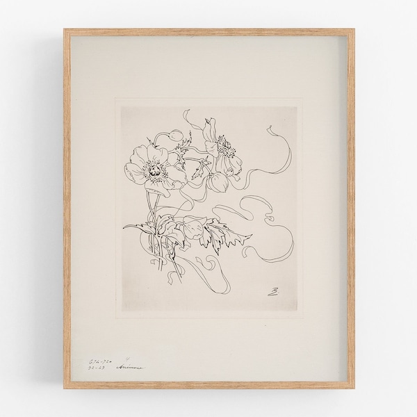 Stampa artistica raffigurante un disegno di margherita su porcellana francese con bordo ampio.