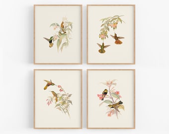 Láminas artísticas botánicas para guardería de bebés con colibríes y flores (juego de cuatro)