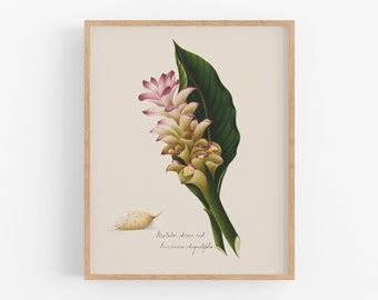 Pink ginger flower art print / vintage botanical / flower art / botanical art / wall art / tropical art / hawaii art / ginger flower art