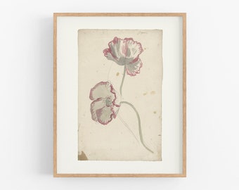 Poppy Flower Art Print