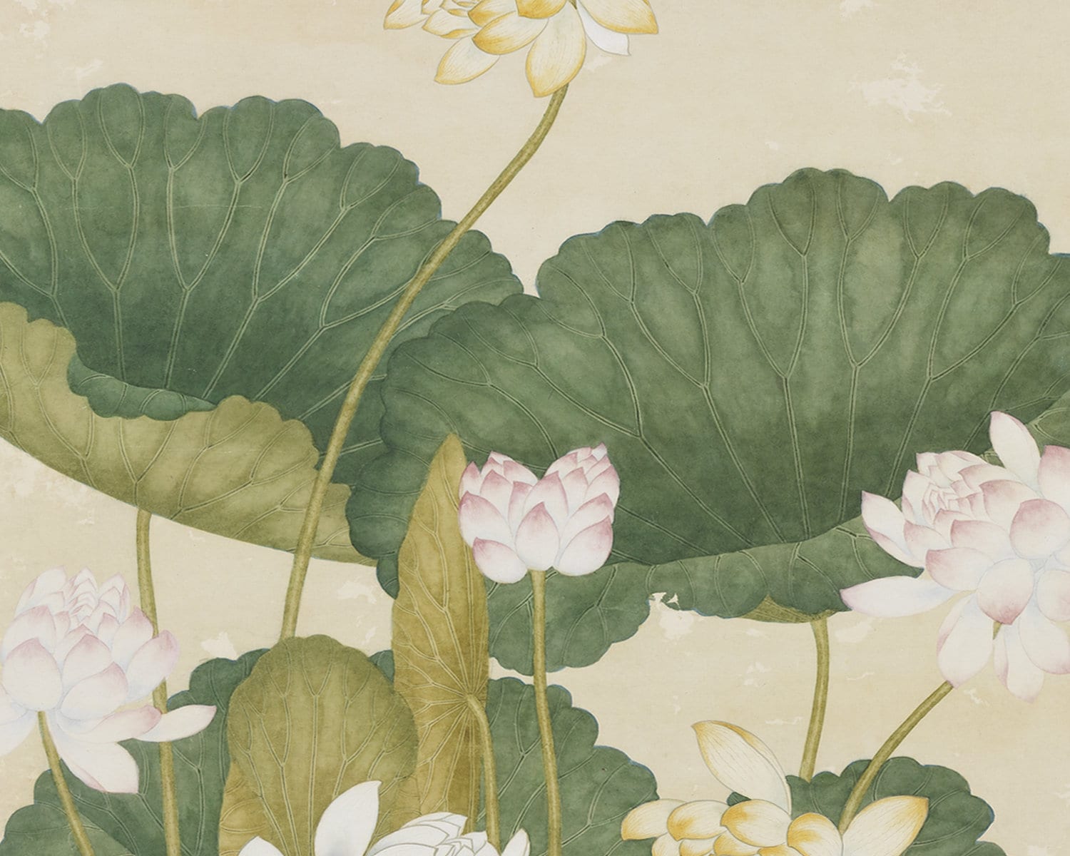 Pink Lotus Flower Chinoiserie Art Print - Etsy